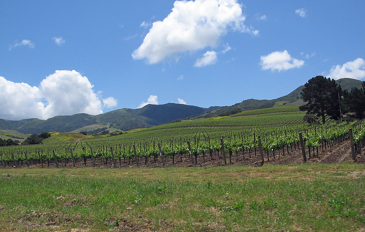Californien, Santa ynez valley, landskab, vingård, Farm, bjerge, Hills