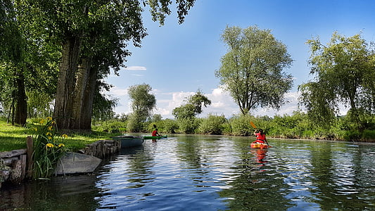皮划艇, 皮划艇, 卢布尔雅那, 斯洛文尼亚, 河, 自然, 森林