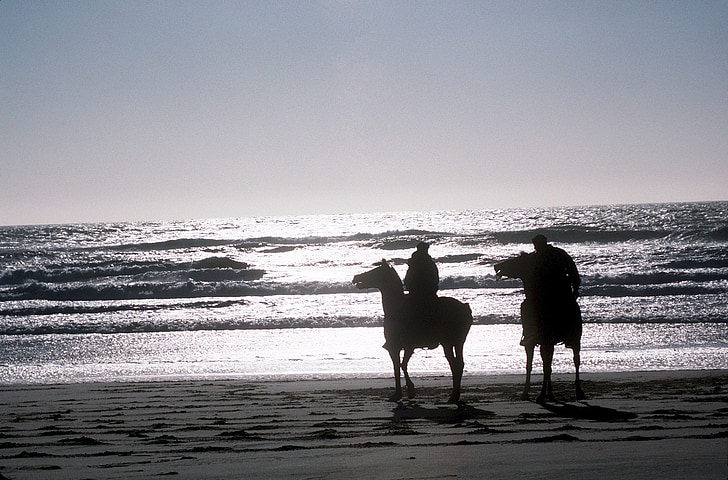 arkliai, paplūdimys, Saulėlydis, Rider modeliai, siluetai, vandenyno, Sutemos