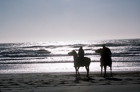 коне, плаж, залез, ездачи, силуети, океан, здрач