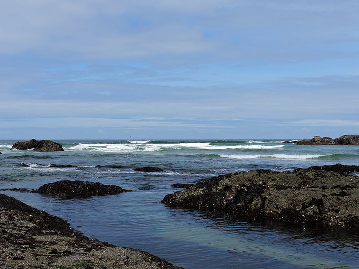 Costa, Costa de Oregon, oceano, água, praia, natureza, areia