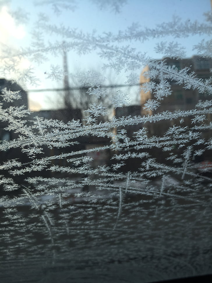 vidrio, Frost, invierno, nieve, frío - temperatura, hielo, congelados