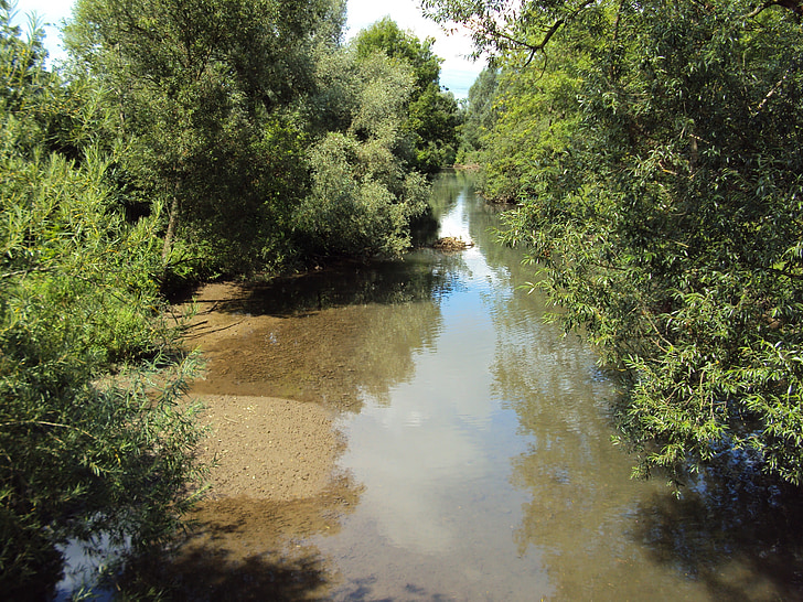 nature, water, forest