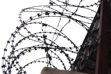 barbed wire, military wire, prison, security, fence, metal, wire