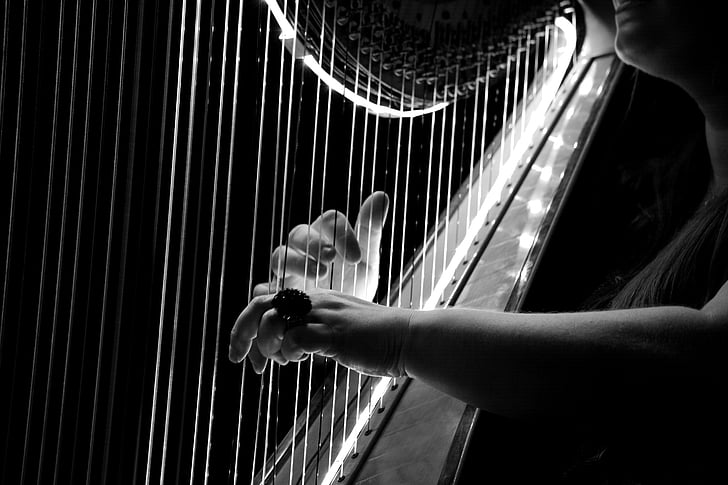 concert, harpă, logo-ul, Hamburg, breysen, muzica, instrument muzical
