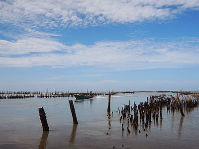 thailand, samut sakhon province, nature, sunny, river mouth, water, sea
