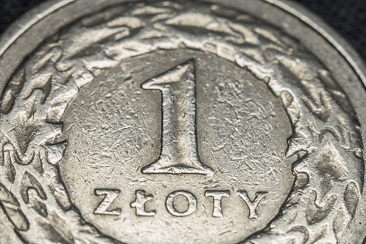 moneda, diners, moneda, macro, Zloty, un, metall