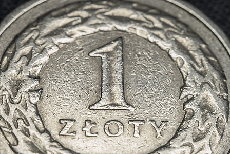 Münze, Geld, Währung, Makro, Zloty, eine, Metall