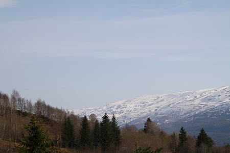 Voss, Norvège, hiver, paysage, nature, l’Europe, Scandinavie