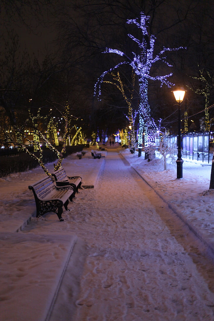 парк, взимку, лавки, холодної, Росія, міський парк, сніг