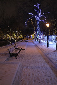 Parque, invierno, bancos, frío, Rusia, Parque de la ciudad, nieve