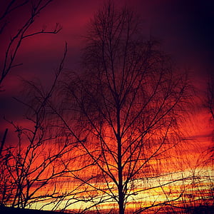 puesta de sol, cielo de la tarde, rojo, posluminiscencia, abendstimmung, naturaleza, al atardecer