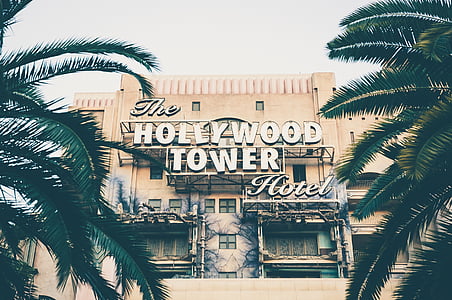 architecture, building, hotel, outdoors, palm trees, The Hollywood Tower Hotel, trees