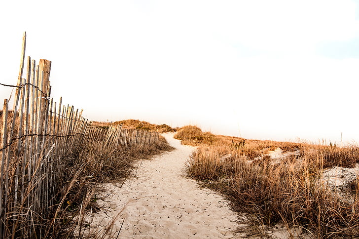 beach, sand, path, fence, grass, vacation, holiday