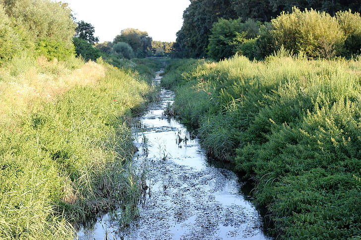 水の運河, 草, 今晩, グリーン, 伝統的です, 農村