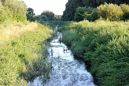 su kanalı, çimen, akşam, Yeşil, geleneksel, kırsal