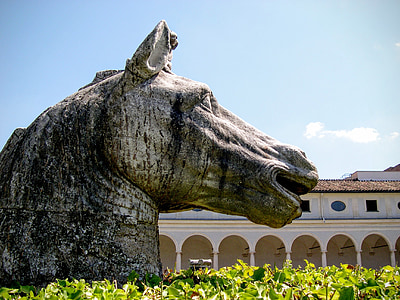 hest, skulptur, bronse, ornament, hage, Roma, Italia