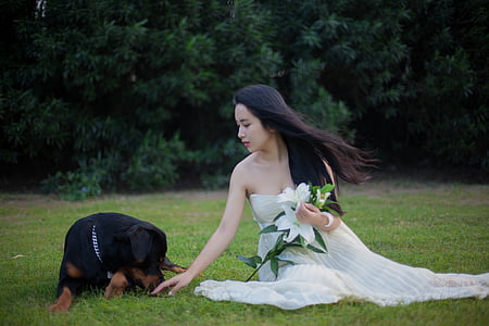 罗威纳犬, 狗, 婚纱礼服, 草坪, 百合, 女孩, 长长的头发