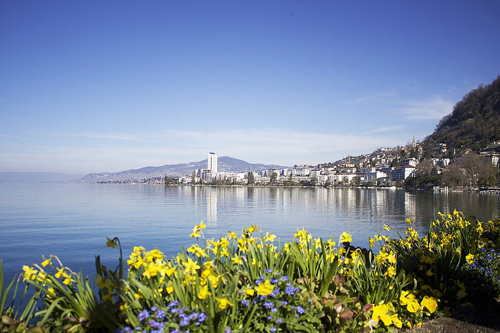 Montreux, Swiss, Švýcarsko, jezero, léto, Evropa, Příroda