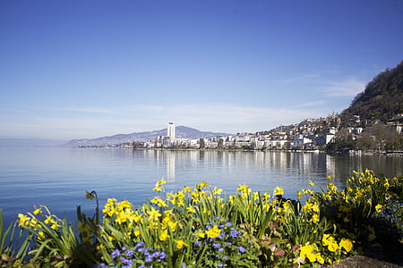 Montreux, švicarski, Švica, jezero, poletje, Evropi, narave