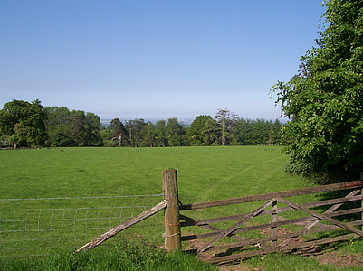 podeželje, North downs, Kent, Sittingbourne, države, Park, trava