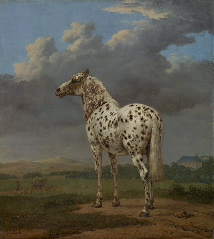 Paulus potter, sztuka, malarstwo, olej na płótnie, Koń, portret, Natura