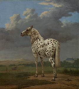 paulus potter, art, painting, oil on canvas, horse, portrait, nature