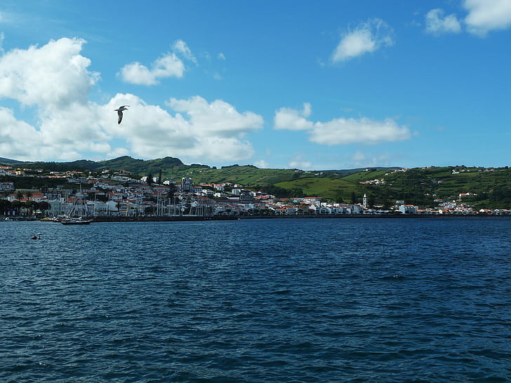 voyage, Pico, Açores, mer, panoramique, île, Côte