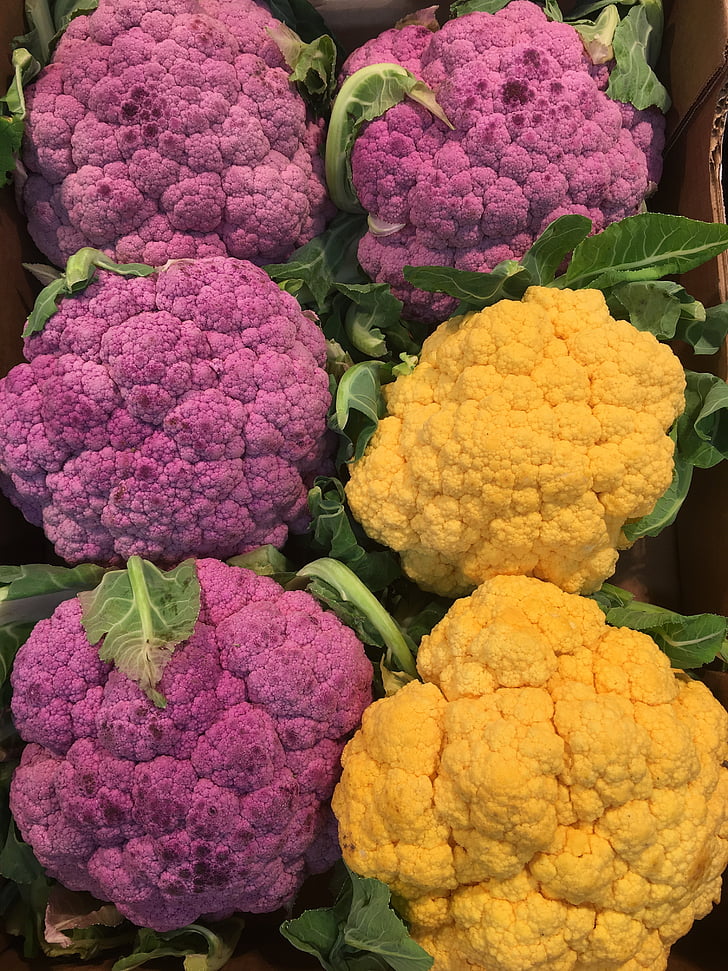 cavoli viola, cauliflower, flower, produce, garden, nature, autumn