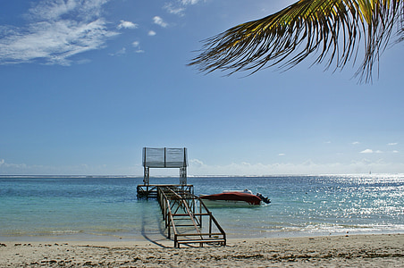 Ocean, suvel, Sunshine, Mauritius, Palmipuu, vee, taevas