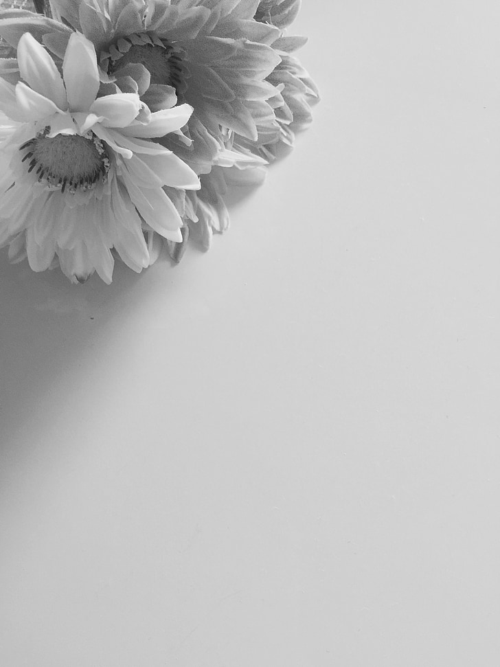 flowers, black and white, romantic, dairy, thinking