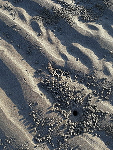 Hai bian, Praia de areia, pequenos caranguejos