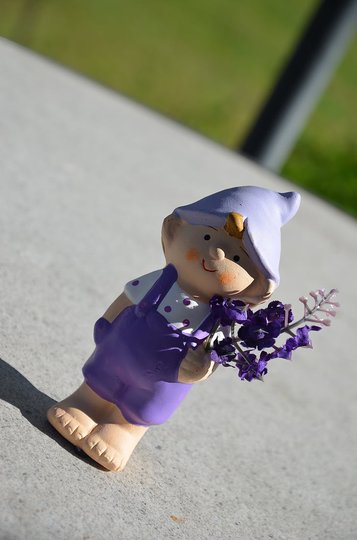 garden gnome, violet, pants, flowers in the hand, dwarf