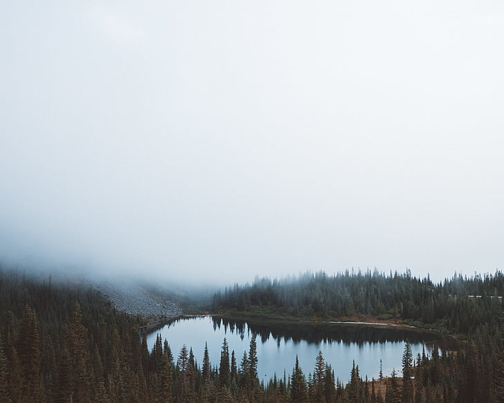 въздушна, фотография, гора, езеро, дърво, мъгла, отражение