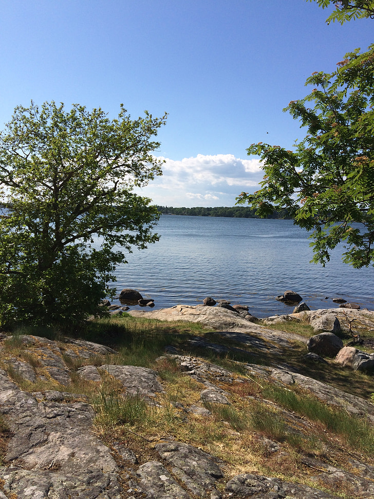 Σουηδία, μπλε, himmel, μπλε του ουρανού, το καλοκαίρι, δέντρο, νερό