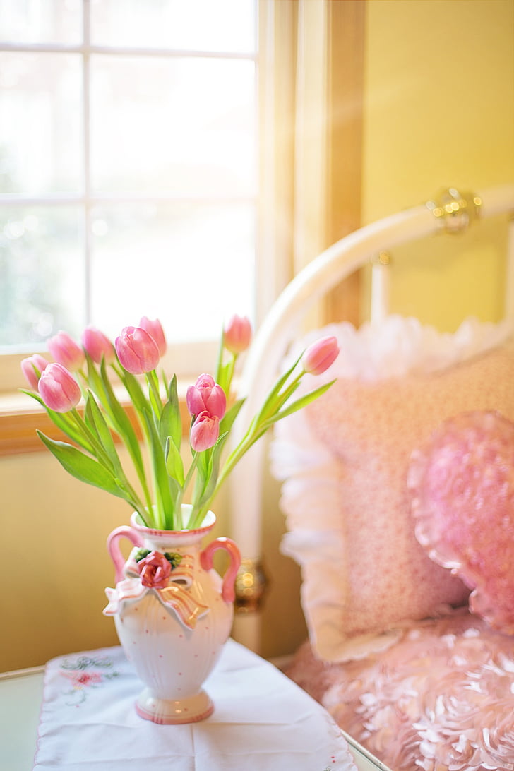 tulpės, rožinė, lova, ryte, pavasarį, gėlių, puokštė