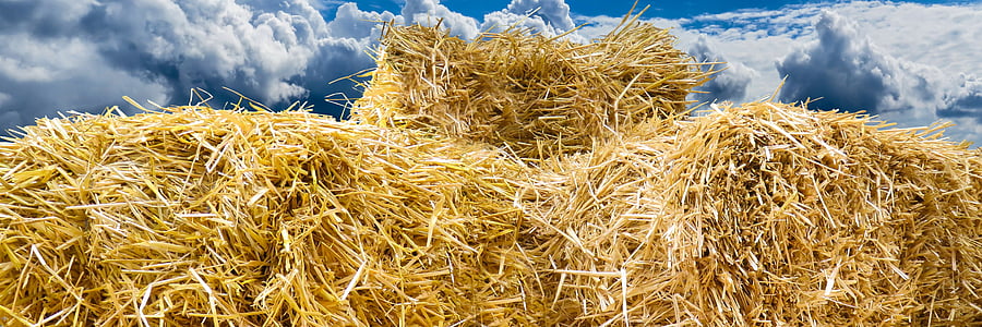 straw bales, autumn, straw, flyers, field, harvest, straw role