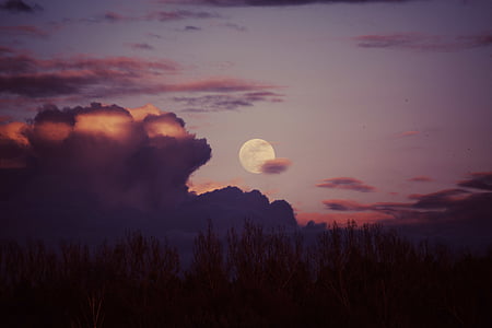 puesta de sol, Ver, Luna, al atardecer, cielo, árboles, nubes