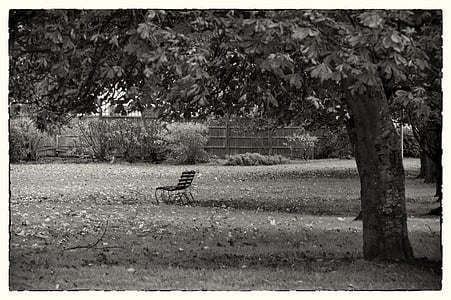 bench, park, park bench, outdoor, grass, seat, tree