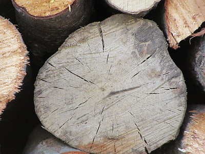 kayu, tumpukan, tumpukan, memotong, kayu, kayu, tekstur