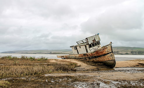 小船, 发泄, 海洋, 水, 海, 海滩, 2010