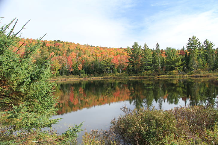 paisaje, Québec, Lago, camping, naturaleza, paisaje otoño