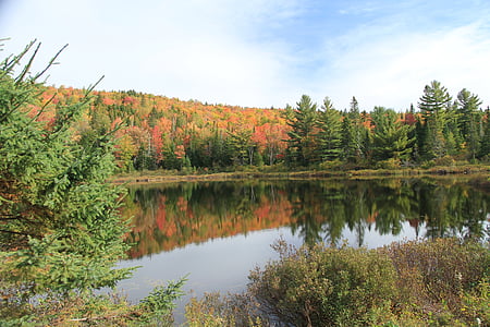 paisagem, Québec, Lago, acampar, natureza, paisagem de outono