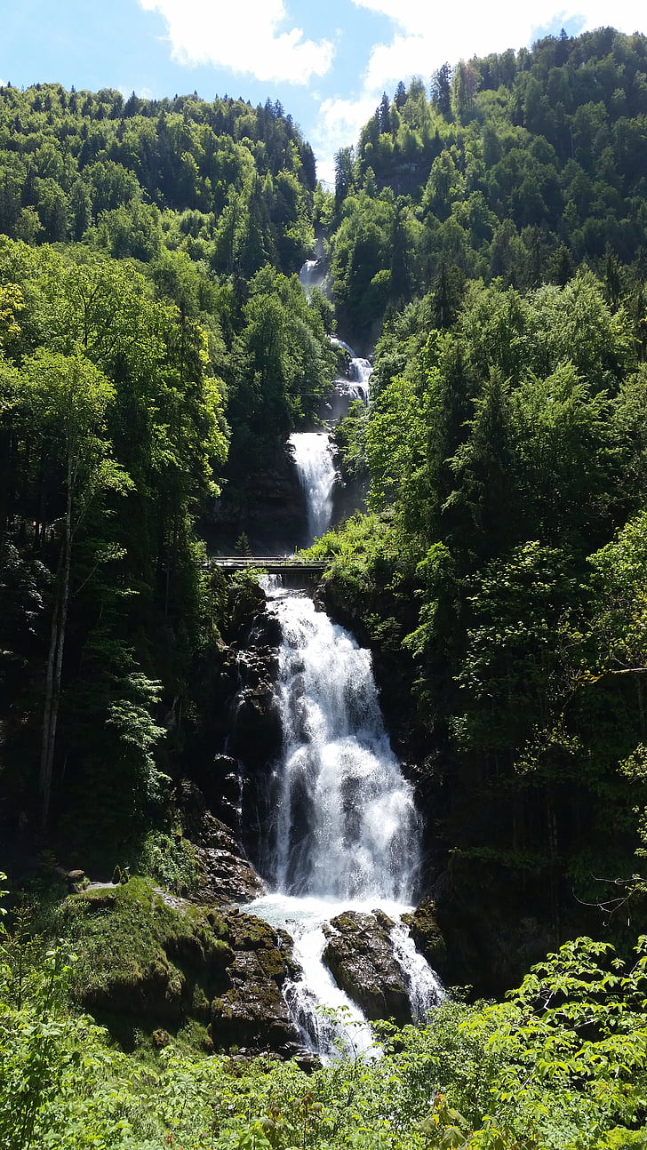 waterfall, giessbach falls, water, forest, trees, nature, bernese oberland
