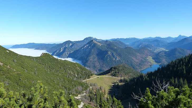 Alpine, dãy núi, màu xanh, sương mù, Walchensee, tâm trạng, thông qua sương mù