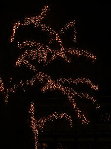 arbre, déco, decoració, llums, lichterkette, nit, fosc