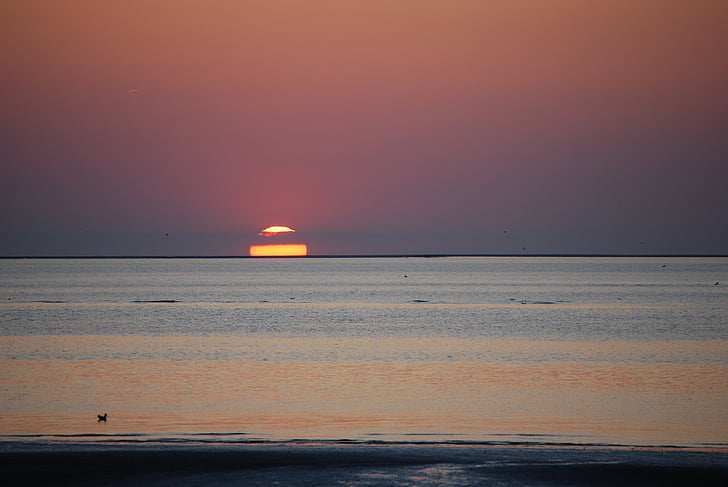 sunset, north sea, sea, beach, evening, sun, afterglow