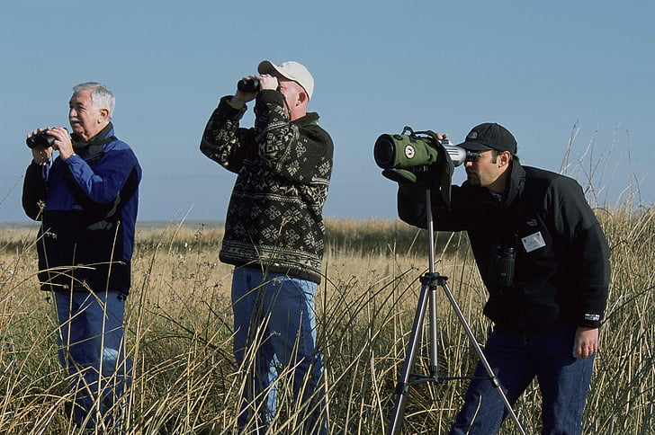 наблюдение на птици, Стойка, Група, мъже, мъжки, хора, камера - фотографско оборудване