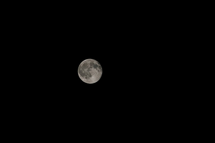 nacht, volle maan, nacht landschap, hemel en de maan, Wolf, zwart, maanoppervlak