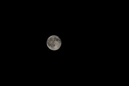 night, full moon, night landscape, sky and moon, wolf, black, lunar surface